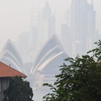 Sydney is chocking on extreme bushfire pollution