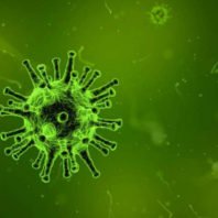 death toll increases due to Coronavirus