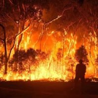 Australian Government declares state of emergency due to bush Fire