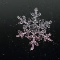 Snowflake raises $479 million