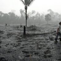 Brazilian Amazon deforestation hits new record in May