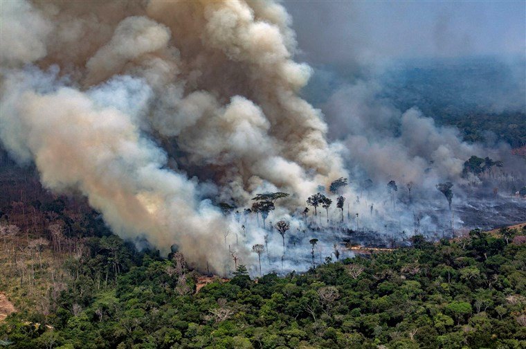 Brazil: Amazon Deforestation 'Surges to 12-Year High'