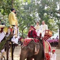 Elephant-back wedding Thailand