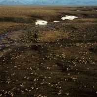 Biden administration suspends drilling leases in Alaska’s Arctic National Wildlife Refuge