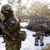 Estonia military during a training exercise