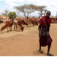 Study: Horn of Africa drought impossible without climate change.