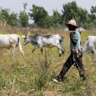 us-urges-nigerian-authorities-to-investigate-air-strike-killing-of-herders