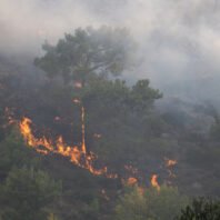 rhodes-wildfire-forces-mass-evacuations