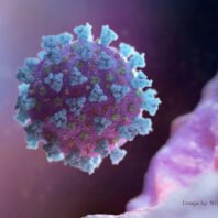 us-cdc-tracks-new-lineage-of-virus-that-causes-covid